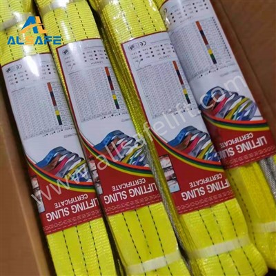 100% Polyester Webbing Sling